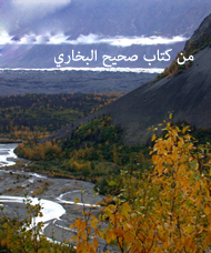 إتحاف_الخيرة