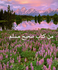 إتحاف_الخيرة