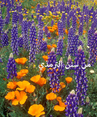 إتحاف_الخيرة