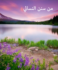 إتحاف_الخيرة