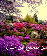 إتحاف_الخيرة