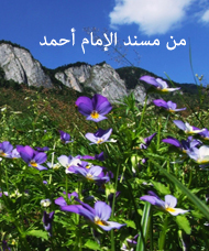 إتحاف_الخيرة